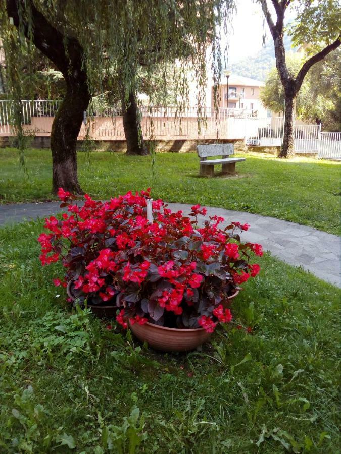 Casa Vacanze Moggio Moggio  Екстериор снимка